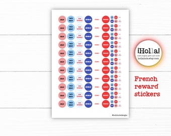 French reward stickers - teacher/student stickers - Bien, bon travail, génial, excellent, 132 per sheet - paper or holographic finish
