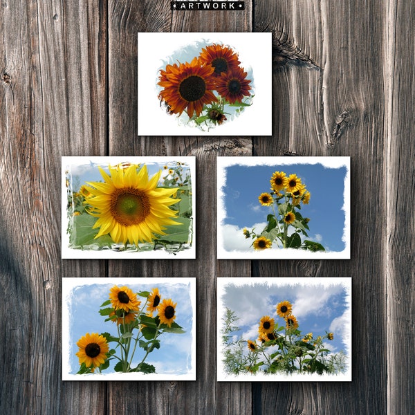 Note Cards, Sunflowers, Sunflower, flowers, note card set, flower gifts, note cards, note card, envelopes included, free envelopes