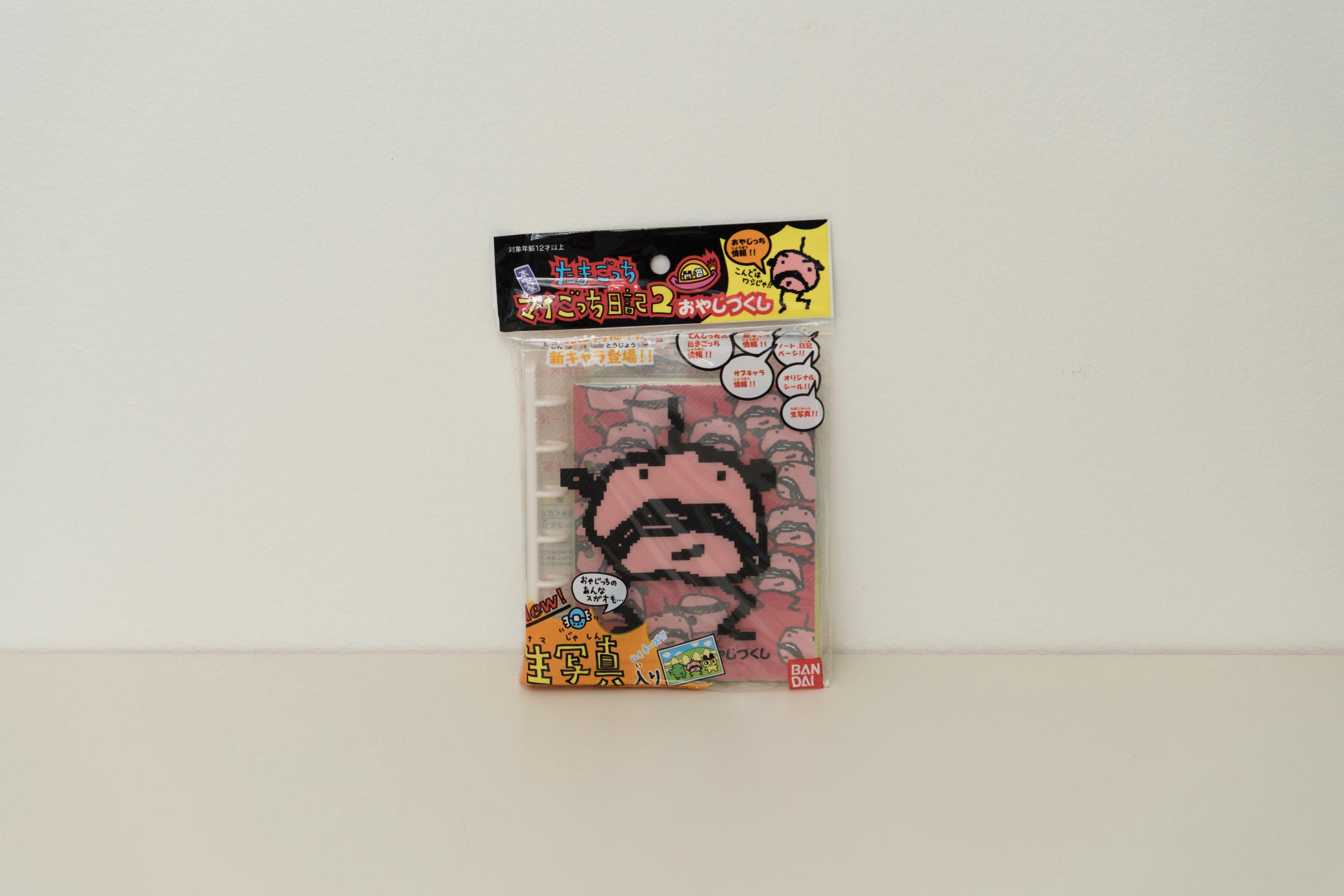 90s Diary Electronic - Etsy