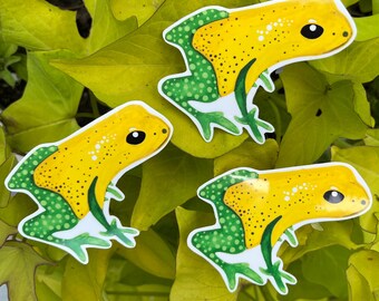 Frog Sticker Glossy Water Resistant Stickers Toad Watercolor Sticker