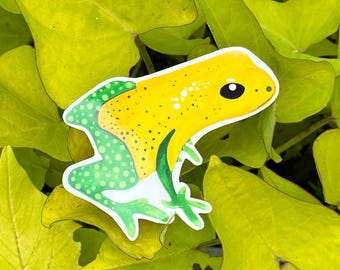 Frog Sticker Glossy Water Resistant Stickers Toad Watercolor Sticker