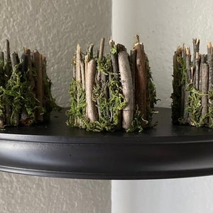 Preserved Moss Wall with Manzanita Branches and Mushrooms – Austin Moss  Creations