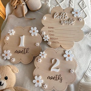 Daisy Hello World Baby Birth Announcement| Hello World Name announcement| Hospital Name sign| Birth Star sign| I’m New Here White