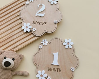 Daisy Flower Milestones | Baby Milestones | Monthly Milestones Marker | Monthly Baby Sign | Monthly Age Marker