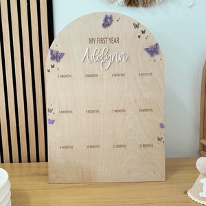 Butterfly My First Year Of Photo Board| Milestones Boar | One Year Old Baby Birthday Board / Baby First Birthday Board| First Birthday Decor
