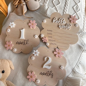 May include: Two wooden baby milestone signs decorated with pink and white flowers. The first sign reads "1 month" and the second sign reads "2 months". A third sign reads "hello world" with spaces for baby's name, date, time, weight, and length.