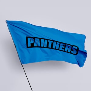 Bandera de los Panthers: bandera de fútbol de 56” x 34,5”