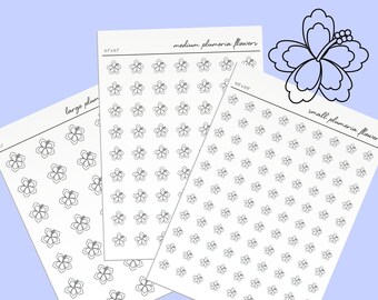 Op de afbeelding: Drie vellen wit papier met zwarte contouren van frangipani-bloemen in verschillende maten. De vellen zijn gelabeld met "grote frangipani-bloemen", "middelgrote frangipani-bloemen" en "kleine frangipani-bloemen".