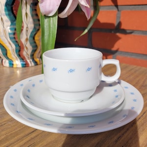 Coffee cup + saucer + dessert plate from G. Benedict. Quality porcelain. Made in Czechoslovakia.