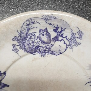 Puede incluir: Un plato de cer&aacute;mica blanco con un dise&ntilde;o floral azul y blanco que presenta un b&uacute;ho posado en una rama. El dise&ntilde;o tiene forma de coraz&oacute;n e incluye flores y hojas.