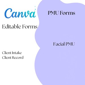 PMU Client Intake Form Permanent Makeup Client Record Information Admission