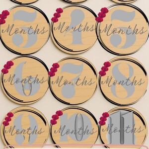 Cartes d'étape mensuelles pour bébé | Accessoires photo imprimables pour la première année de bébé | Téléchargement numérique – 12 mois