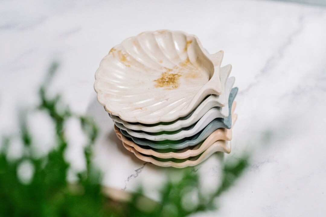 Seashell Dish/trinket Dish/jewelry Dish Etsy