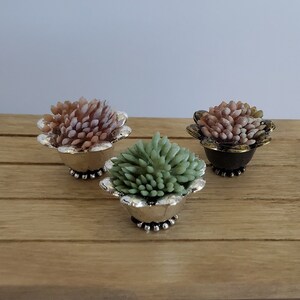 Miniature Dollhouse Decorative Plant