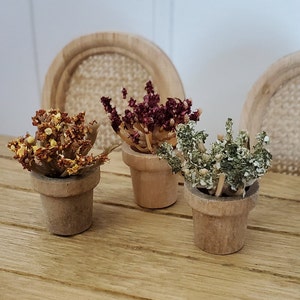May include: Three small potted plants with dried flowers. The plants are in wooden pots and the flowers are in shades of brown, red, and green.