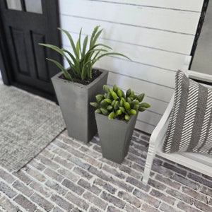 May include: Two gray concrete planters with green plants. The larger planter has a long, thin, green plant with long leaves. The smaller planter has a cluster of small, green plants. The planters are on a brick patio.