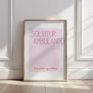 May include: A framed print with a pink background and the text "SOLVITUR AMBULANDO" in pink. The text "it is solved by walking" is written in orange below the main text.