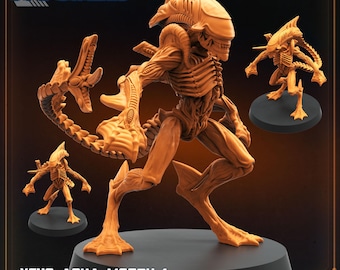 Aquamorphs – Sci-Fi Fantasy Tabletop RPG Model