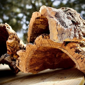 Half Round Cork Bark - Animal Hides