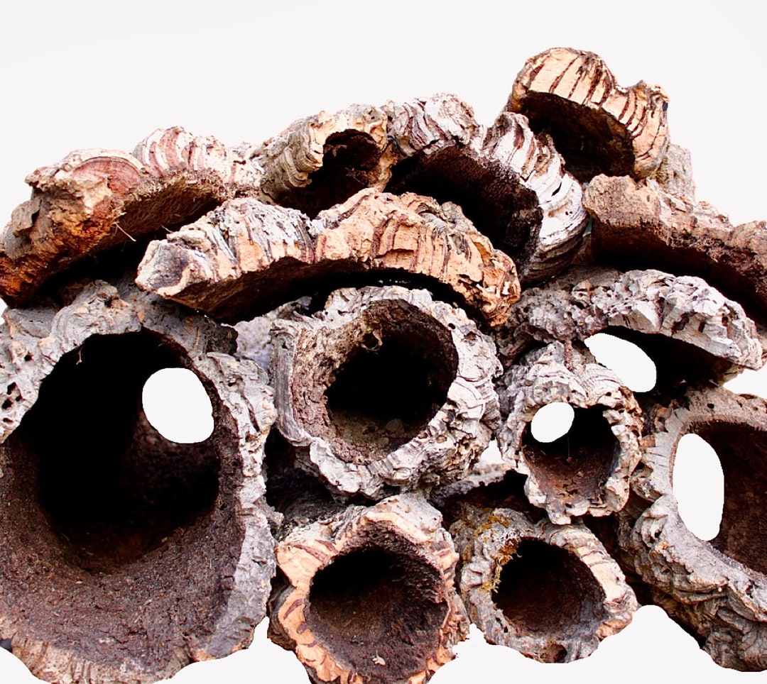 Bulk Cork Bark 5lbs Rounds & Flats Mixed Box Hides for Reptiles Sugar