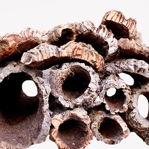 Bulk Cork Bark 5lbs Rounds, Flats or  Mixed Box - Hides for Reptiles - Sugar Gliders - Hamsters - Frogs - Parrot Toys - Natural Animal Toys
