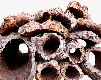 Bulk Cork Bark: Reptile Hides, Natural Pet Toys - 5lbs