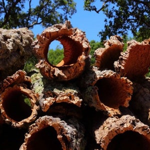 Bulk Cork Bark 5lbs Rounds image 7