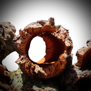 Cork Bark Rounds 2 lbs - Animal Hides in a Terrarium / Vivarium