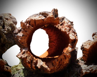 Cork Bark Rounds 2 lbs - Animal Hides in a Terrarium / Vivarium