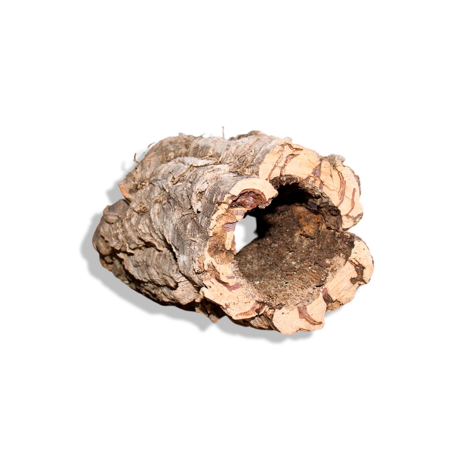 Cork Bark Rounds 2 Lbs Animal Hides in a Terrarium / Etsy