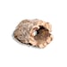 Cork Bark Rounds 2 Lbs - Animal Hides in a Terrarium / Vivarium - Etsy