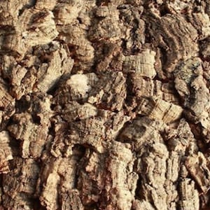 Pode incluir: Close-up de uma textura de casca de &aacute;rvore com uma superf&iacute;cie &aacute;spera, marrom e cinza. A casca &eacute; composta por muitas pe&ccedil;as pequenas e irregulares que est&atilde;o firmemente unidas.