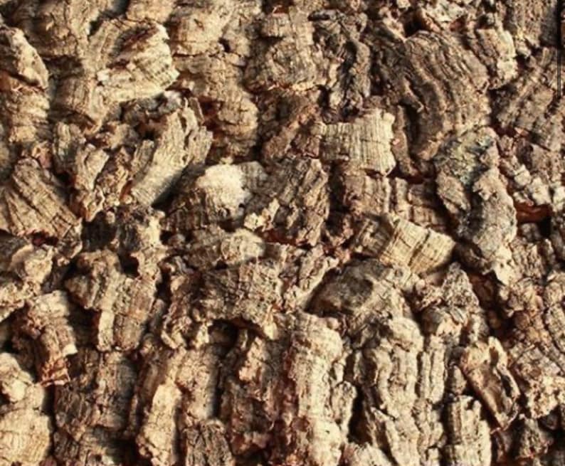 Pode incluir: Close-up de uma textura de casca de &aacute;rvore com uma superf&iacute;cie &aacute;spera, marrom e cinza. A casca &eacute; composta por muitas pe&ccedil;as pequenas e irregulares que est&atilde;o firmemente unidas.