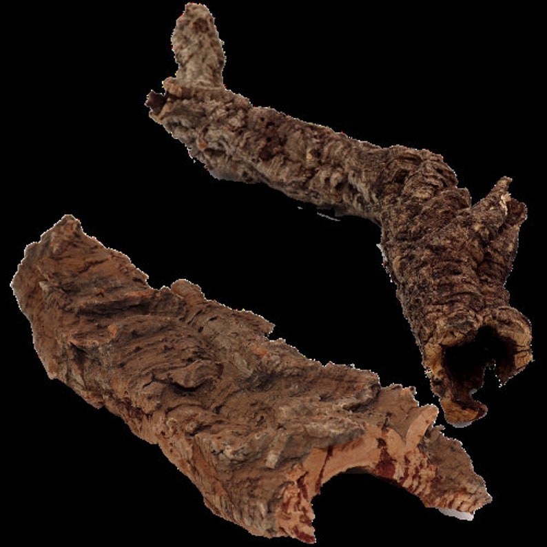 Cork Bark 1lbs Rounds Animal Hide Vivarium Terrarium Etsy