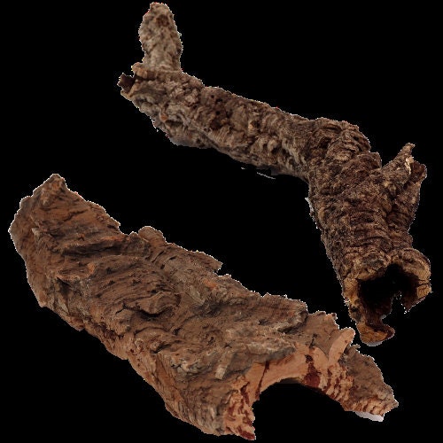 Cork Bark 1lbs Rounds Animal Hide Vivarium Terrarium Etsy