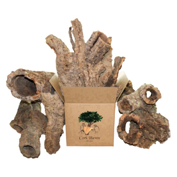 Bulk Cork Bark 2lbs Flats & Rounds Mixed Box Etsy