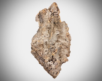 Casca de Cortiça Granel Flats 1 libra. para Plantas - Aquários - Terrários - Vivários - Gabinetes Bioativos