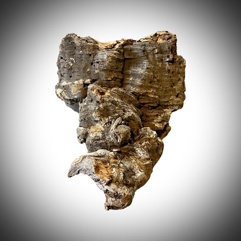 Bulk Cork Bark 10lbs Flats Terrarium Vivarium Supplies Etsy