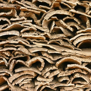 Pode incluir: Close-up de uma pilha de casca de corti&ccedil;a, mostrando a textura e a cor natural do material.