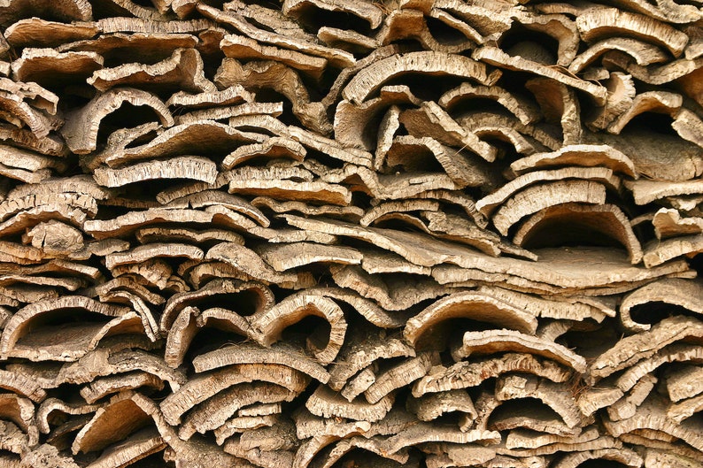 Bulk Cork Bark Flats Terrarium Vivarium Orchid Air Plant Etsy