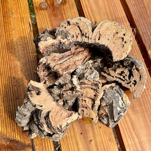 THICK Virgin Cork Bark Bits 1LBS - for Mosaic Terrarium - or Air Plant Orchid Mount