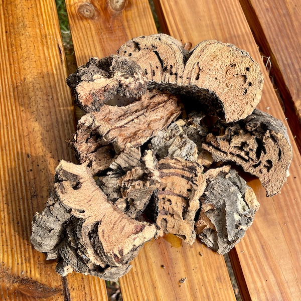 THICK Virgin Cork Bark Bits 1LBS - for Mosaic Terrarium - or Air Plant Orchid Mount