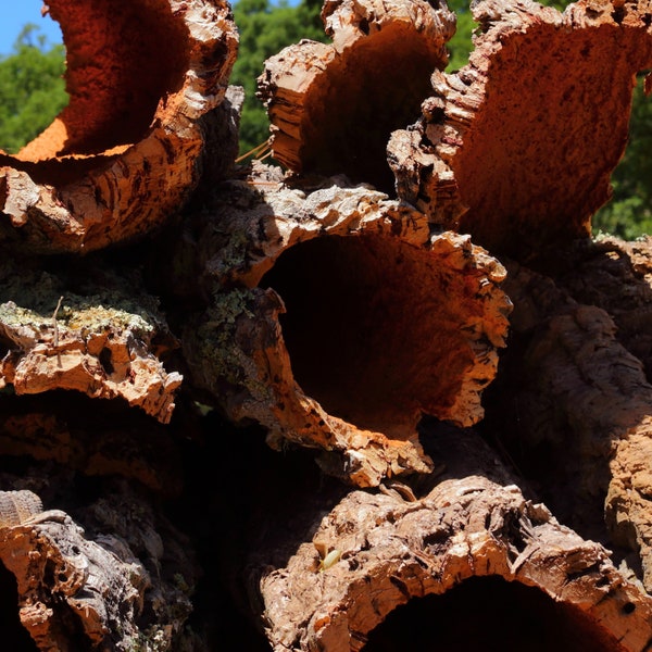 Bulk Cork Bark 5lbs Rounds