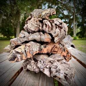 Bulk Cork Bark Flats - Terrarium Vivarium Orchid Air Plant Mount - Reptile Frog Tarantula Hide