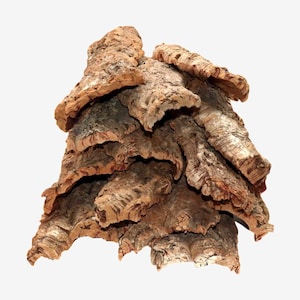 Bulk Cork Bark 10lbs Rounds Flats or Mixed Box Great for Reptile Tarantula Frog Terrarium Vivarium image 4