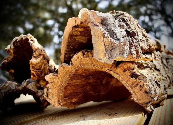 Cork Rounds, Cork Bark for Sale, Reptile Wood