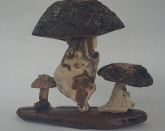 drijfhout paddestoelen