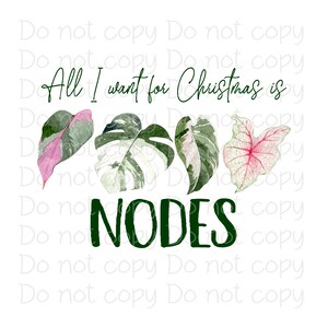 Op de afbeelding: Een witte achtergrond met groene tekst die "All I want for Christmas is NODES" zegt. Er zijn vier aquarel illustraties van groene en witte bladeren met roze accenten onder de tekst.