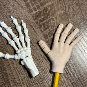 3D Printed Articulated Hand Pencil Toppers | Skeleton & Regular Hands