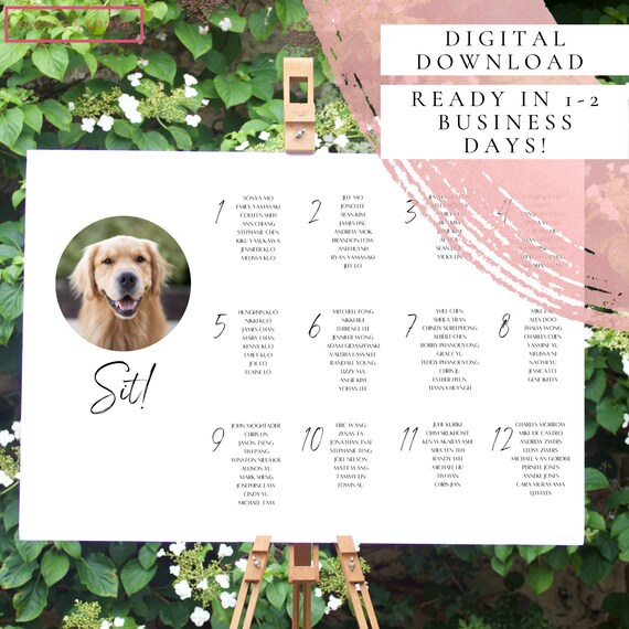 PETLOVE | Drinks Are On Us Pet Bar Drink Sign Wedding Event Signature